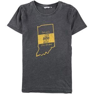 Indy 500 Womens State Logo Graphic T-Shirt, gray, S